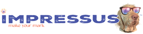 Gold Sponsor