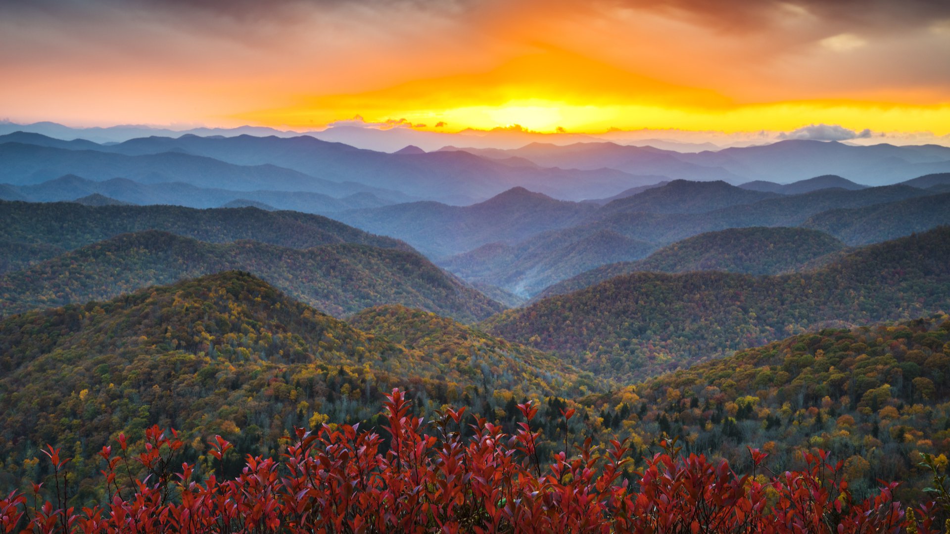blue ridge autumn 1920x1080