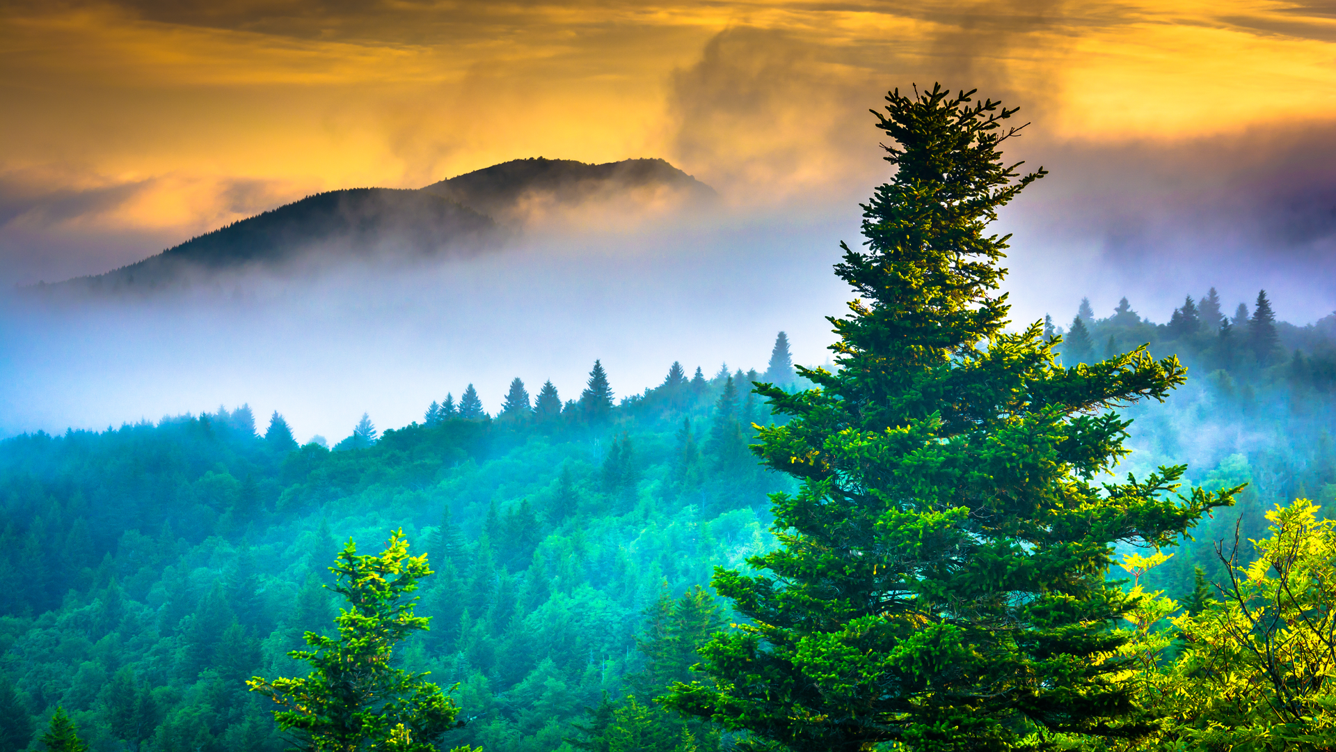 blue ridge gold shutterstock