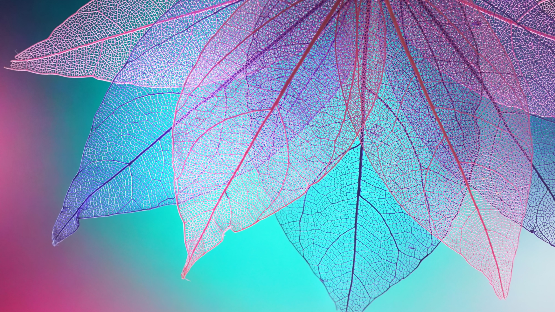 floral abstract shutterstock